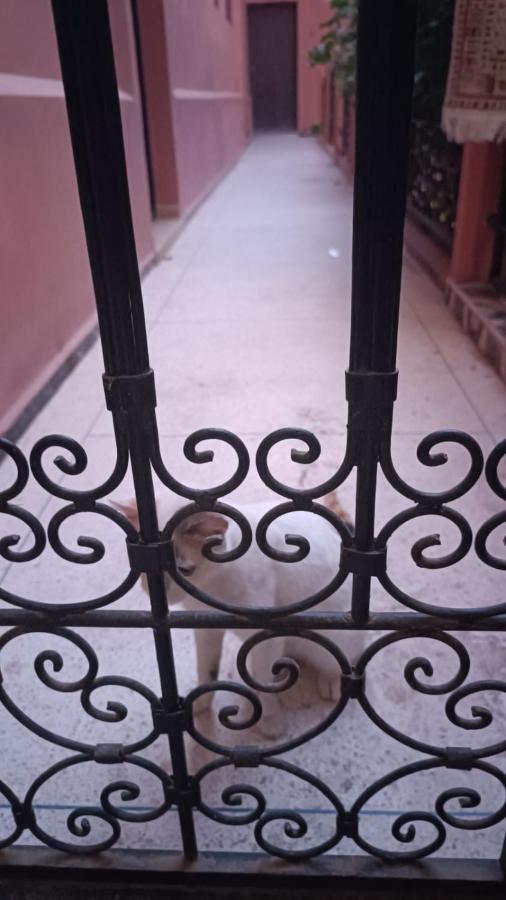 Riad A Marrakech Dans La Residence Touristique Al Qaria Assiyahia Marrakesh Exterior foto